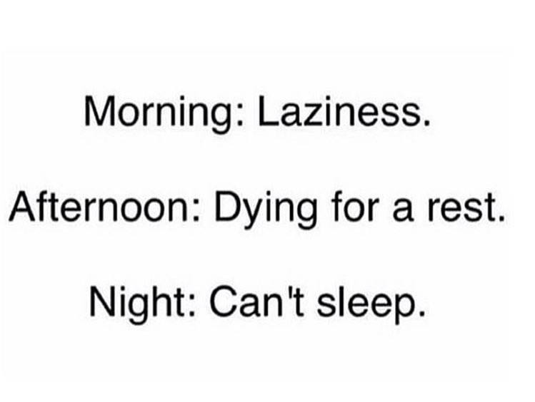 ACookseyMusic's tweet photo. How the day goes every day for me! What about you? https://t.co/5uZmvj9gx7
