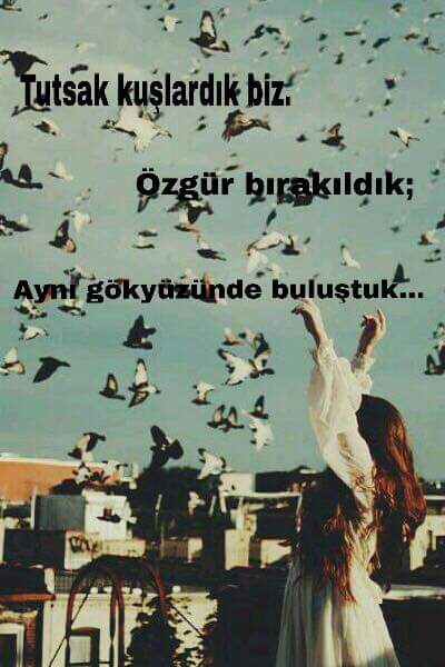 sanalaile12's tweet photo. WatsApptan çaldım lan hepsini jsjsjsjsjs
#EFSanalAile https://t.co/7pNjGjFBtj