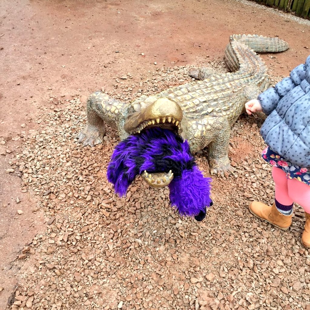 itsdenham's tweet photo. Gabriella saved class mascot Stripey on Safari today @stgregorys_EYFS @StGregorysPTFA @stgregorys_news #crocodile https://t.co/pjrA3jhn3K