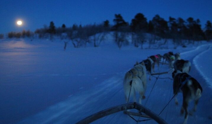 Steve Robertshaw tweet media