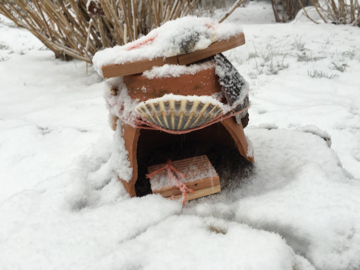 PalmerHouseInn's tweet image. It&apos;s good the Palmer House Inn&apos;s fairies go to Florida for the winter... #blizzard #CapeCodgarden #fairyhouses