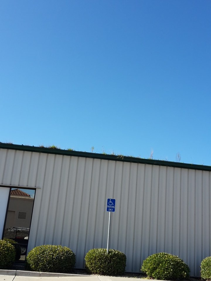 StearsDavid's tweet image. Do your gutters look like this? If so give me a call.