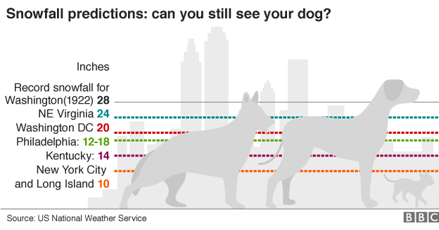 BBC is using dogs as a snowfall measure #jonasblizzard
