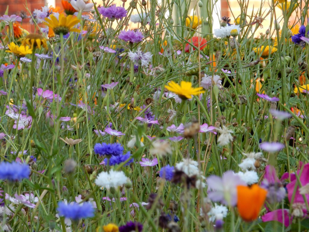 Team4Nature's tweet image. Social media experiment! Please RT if YOU love #nature :)