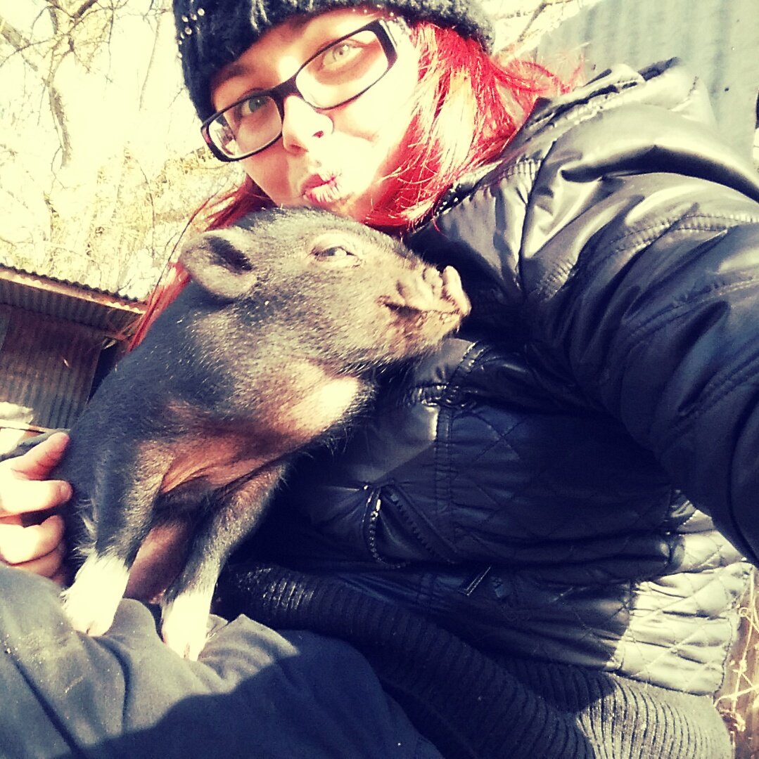 Doe_Lu's tweet photo. <3  #pig  #cochonvietnamien https://t.co/VmrYS97Uvk