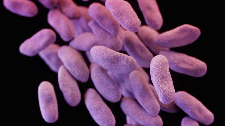 Sharnbrookbio's tweet photo. A protein in breast milk could wipe out superbugs. Our Becky did this in 2015 #A2projects https://t.co/0V7AMnVFR3 https://t.co/LbTdLdwPpI