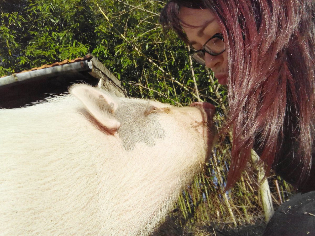 Doe_Lu's tweet photo. <3  #pig  #cochonvietnamien  #ink https://t.co/jJXZAxa3lR
