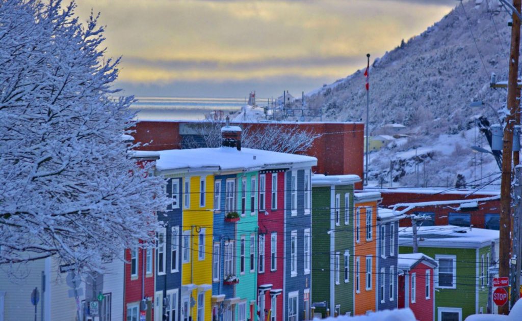 A colourful, character-filled example of historic  #gentledensity, in  #StJohns NFLD. Via  @NLtweets  #cityofcolour