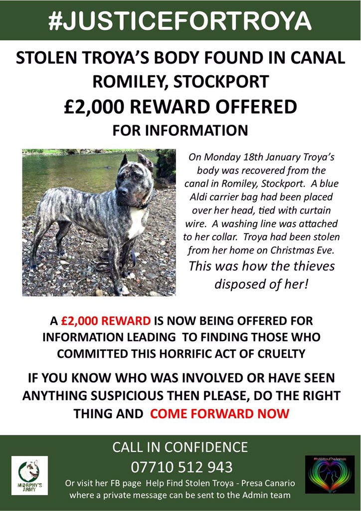 #JusticeForTroya we will find you! FACT!! <a href="/MENnewsdesk/">Manchester News MEN</a> @stockportnews <a href="/IAATA2016/">IAATA</a> <a href="/RozHedley/">Rozza</a> @RomileyGuy <a href="/loveromiley/">love romiley</a>