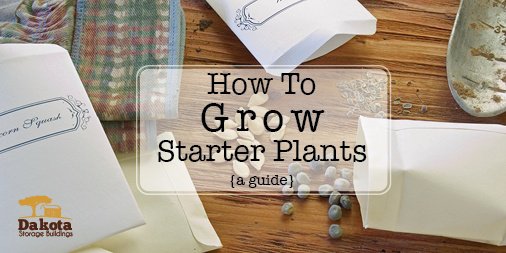 DakotaStorage's tweet photo. #SpringStarter Plants: how to begin in your #shed &amp; end in your #garden: https://t.co/FQ34FT1ShL https://t.co/PQLeKWnAol