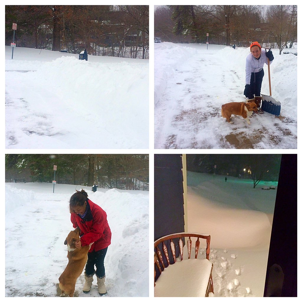 lindaloufly's tweet photo. Didn't even put a dent in it. #snowmaggedon2016 #blizzard2016 #FunWithMyGirl https://t.co/2MTOL99LSt