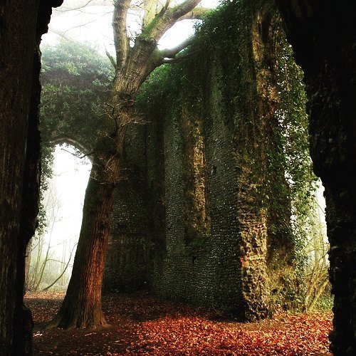 fylkingr's tweet photo. Step into the Ruin #history #ruin #viking #germanic #nordic #spiritoftheforest #forest #adventure #midgar #nature https://t.co/5yXFjXVUCA