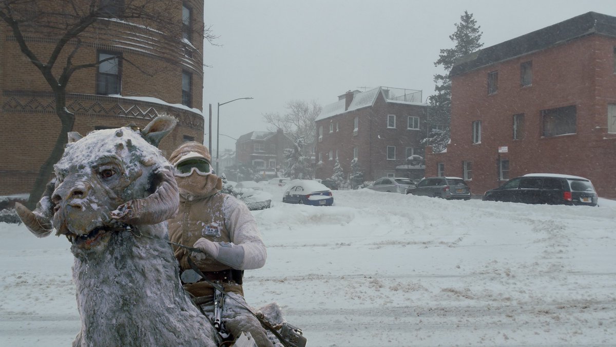 ANDX's tweet photo. Spotted a hipster in Brooklyn riding around on a Tauntaun during the blizzard. #blizzard2016 #Brooklyn #StarWars https://t.co/l23SIYJmjf