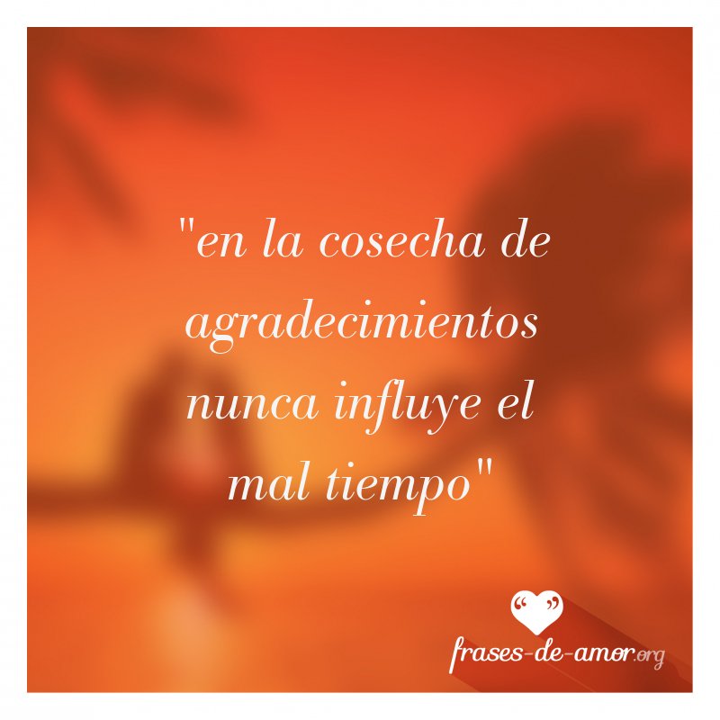 Frases de Amor ♥ on Twitter: 