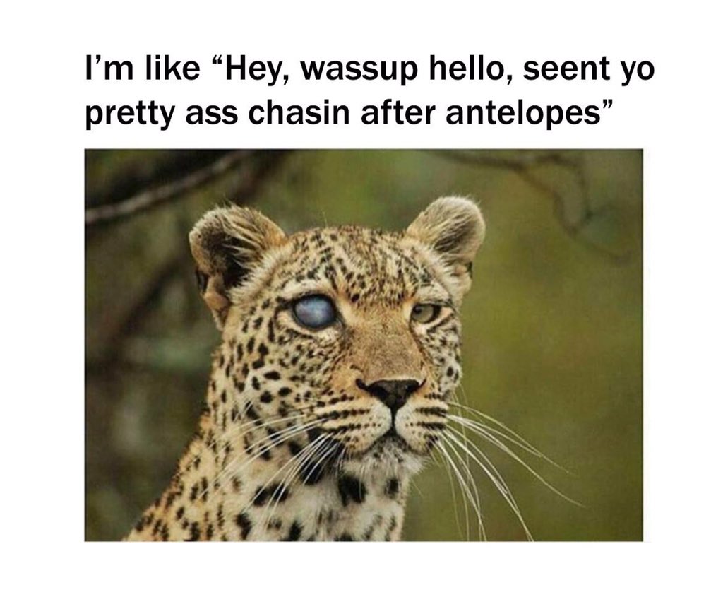 PABallPlayer's tweet image. 😂😂