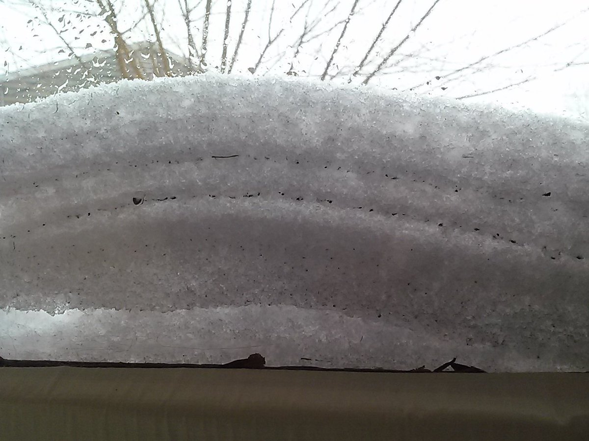 ChatteeKat's tweet image. And it was an even better day to stay in bed and enjoy the view