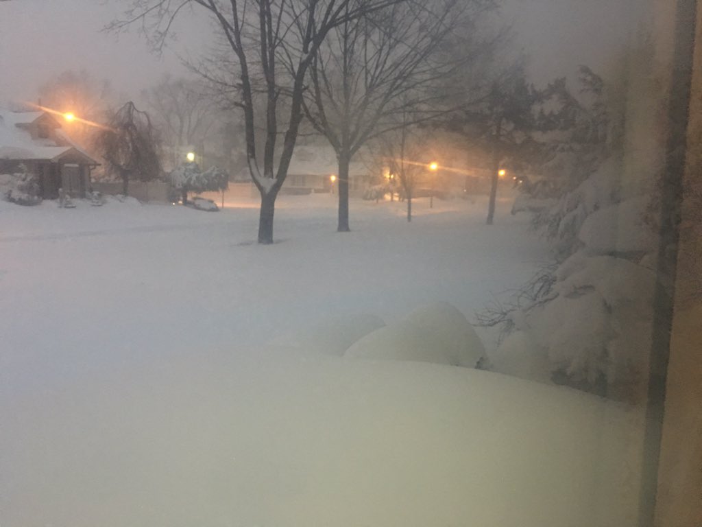 ChristineZepp's tweet photo. I literally can't open my front door #LizzardWarning #snowmaggedon2016❄️ https://t.co/eOr1YpyjCq