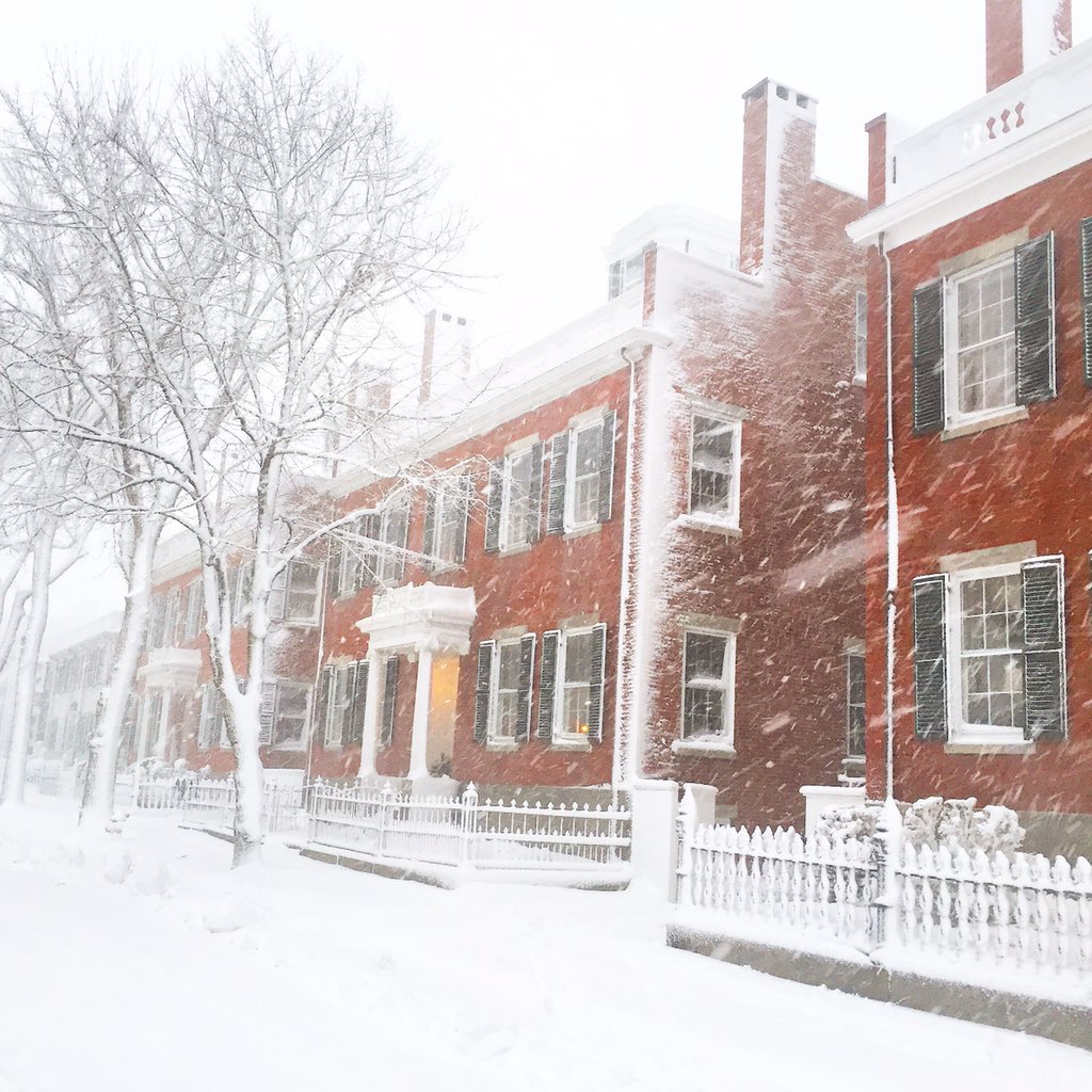 townpool tweet media