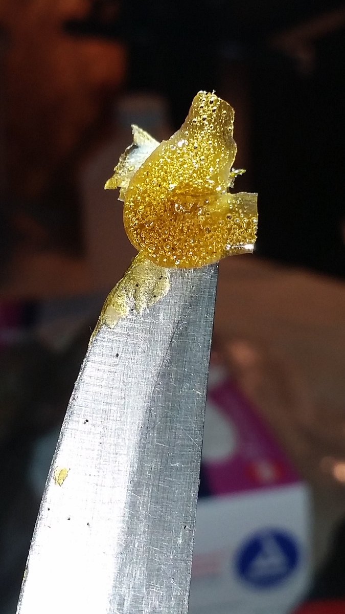 The_SHO_Room's tweet photo. Great #terpnasty taste!  Beautiful #sho #solventless #dab #ommp #oregon #organic #notane #710 #errl https://t.co/70jEgfyQsY