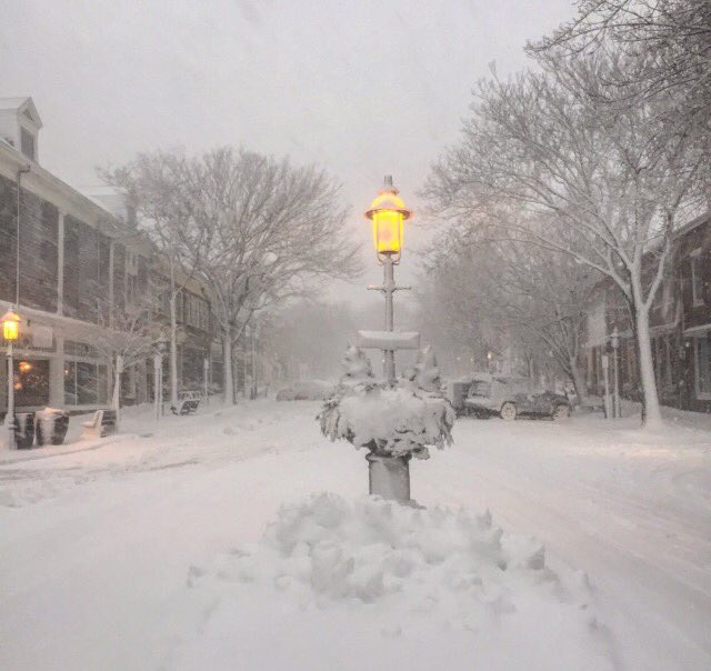 Nelly Carreno tweet media