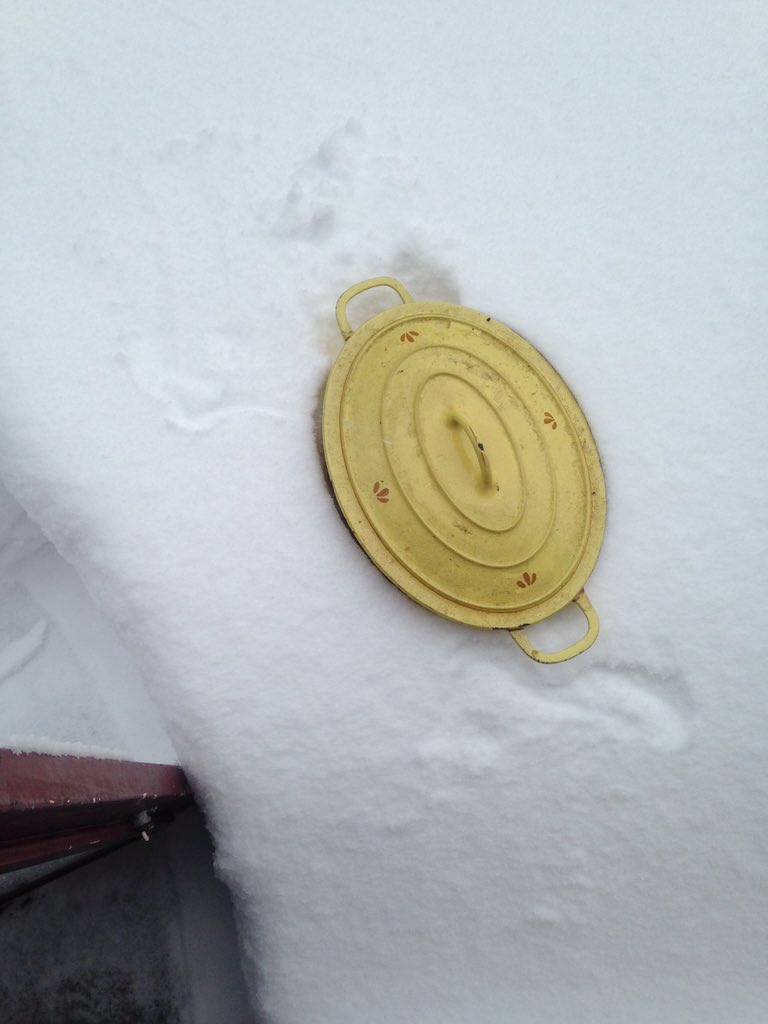 BrooklynMompost's tweet photo. #snowday! Cooling our pot roast in a big hug of nature's gift from the sky! #brooklynmompostcooking #SnowdayNYC https://t.co/a8G5jmK18C
