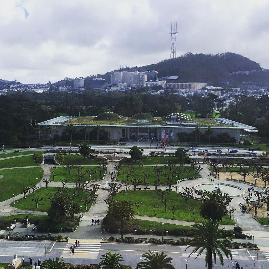 RT NapaValaree #deyoung #california #academyofsciencesf #view #beauty #sf #bayarea #familyday #museums