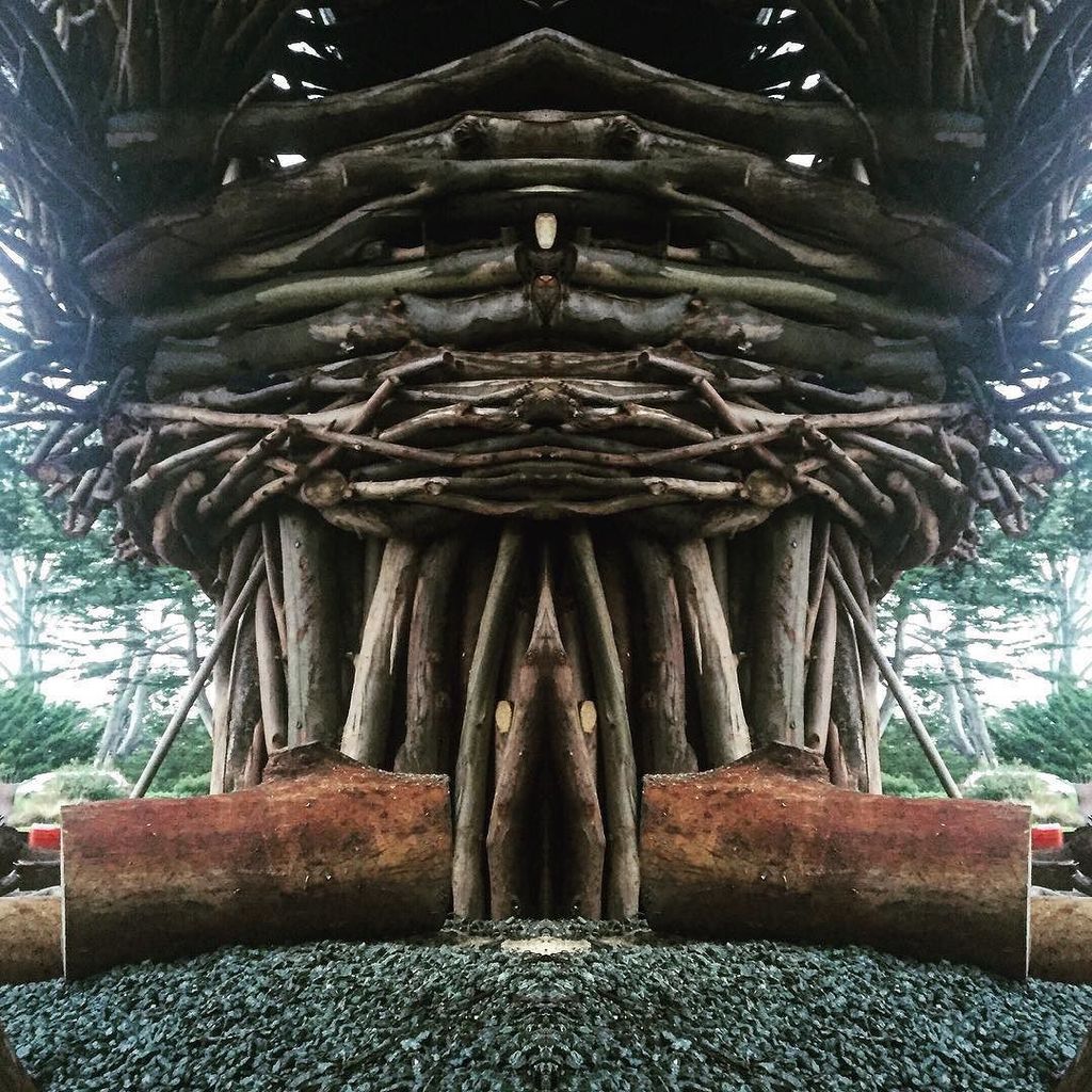 brianwoodcap's tweet photo. having some fun with @sparkmodeapp #mirror #app #spiritnest #spiritnestcreations #jaysonfann #treeart #humannest #n… https://t.co/tqQlbICU7X