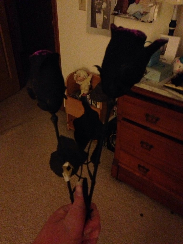 probablyDelia's tweet photo. Why do I own these??? https://t.co/6l6nJad1Vw
