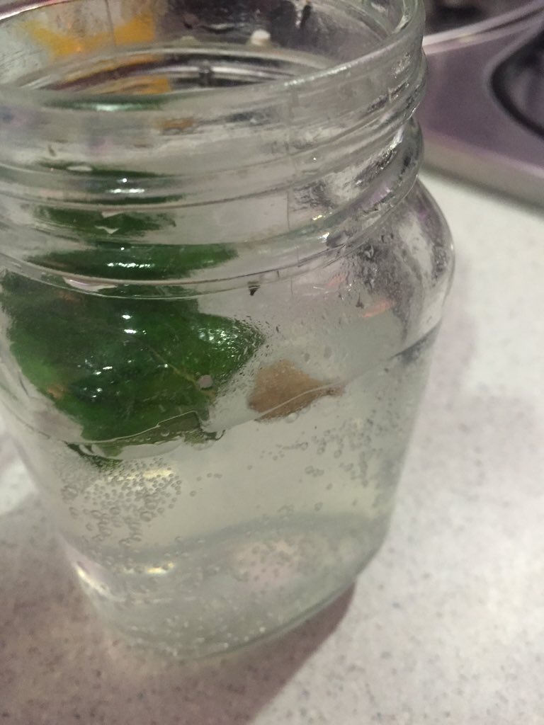 elwrbm's tweet image. #BombayEast
Indi &amp;amp; Co lemon tonic
Hielo de hierbabuena
Hierbabuena
Enebro 

@Atlantista