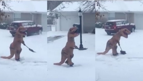 Show us how you're spending #jonasblizzard! bzfd.it/1QrCdEw