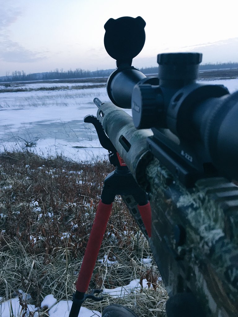 Casnerfarms's tweet photo. Turning the predator into the prey. Letting this #Remington get after some yotes. #predatorquest https://t.co/oZb74H9ecQ