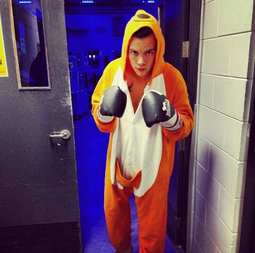 ivanagjj's tweet photo. I LOVE THIS PHOTO OF @Harry_Styles 😍🔥❤ https://t.co/RyYyiGv2xE