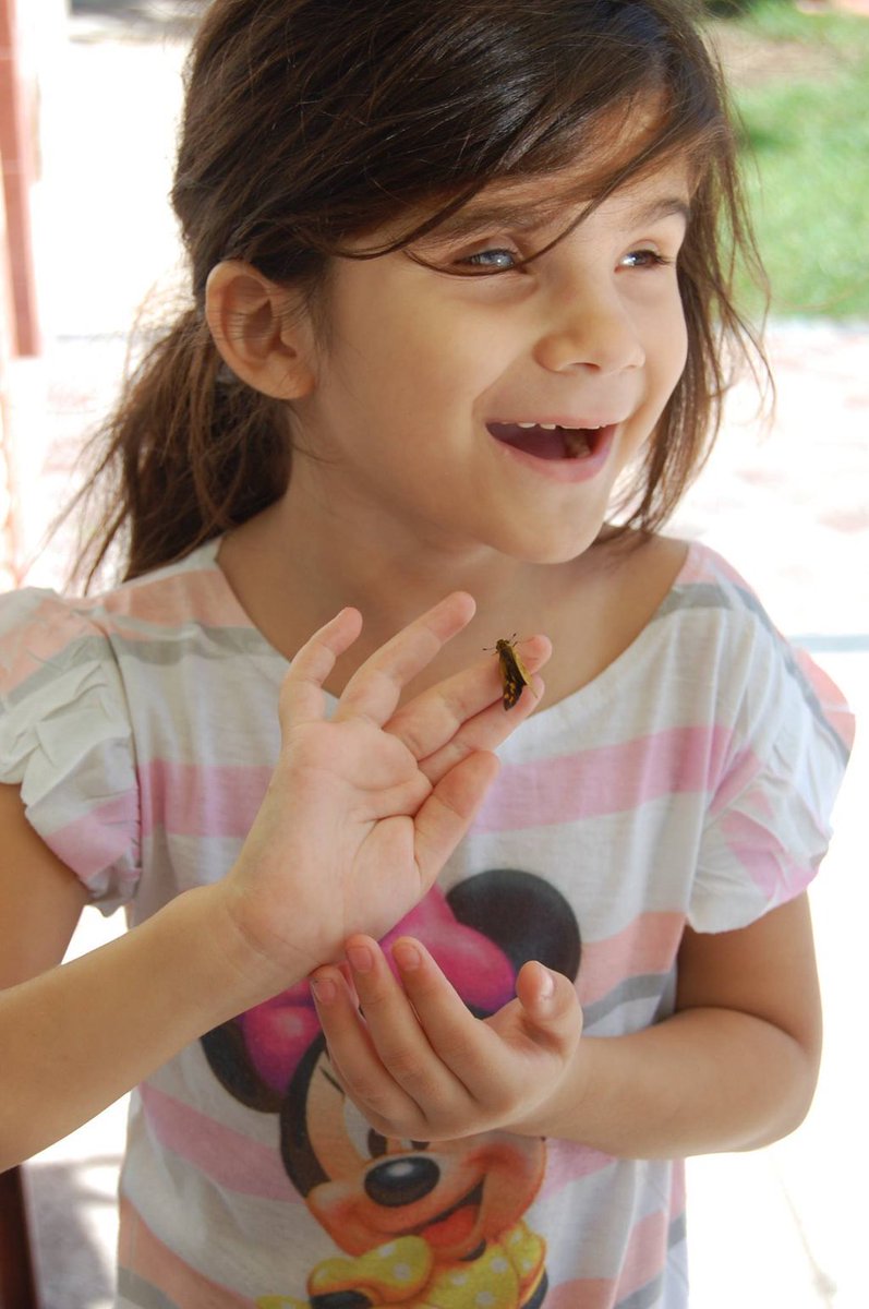 HambreCero's tweet photo. Faltan solo 1900 Amigos que aporten 10 pesos para la máquina en Braille de Emma! Mail fiorella.pedretti@hotmail.com https://t.co/9jjrrhAvDp