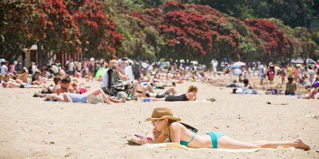 Nik_Ben8's tweet photo. Hot hot! #Summer #Auckland https://t.co/iX1YL6aCrp https://t.co/6pVg3mIFTJ