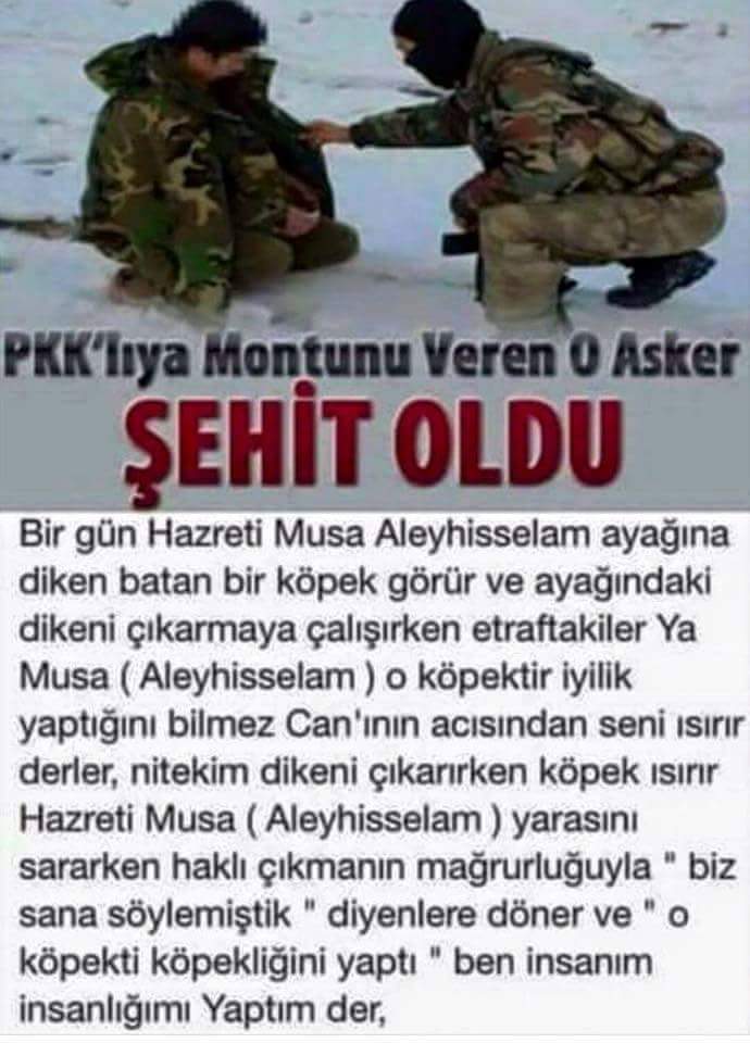 SancarIlhan's tweet photo. VATAN HAİNLERİ NE İYİ BAKİN 😠😠😠😠 https://t.co/mzmxWzxA1I
