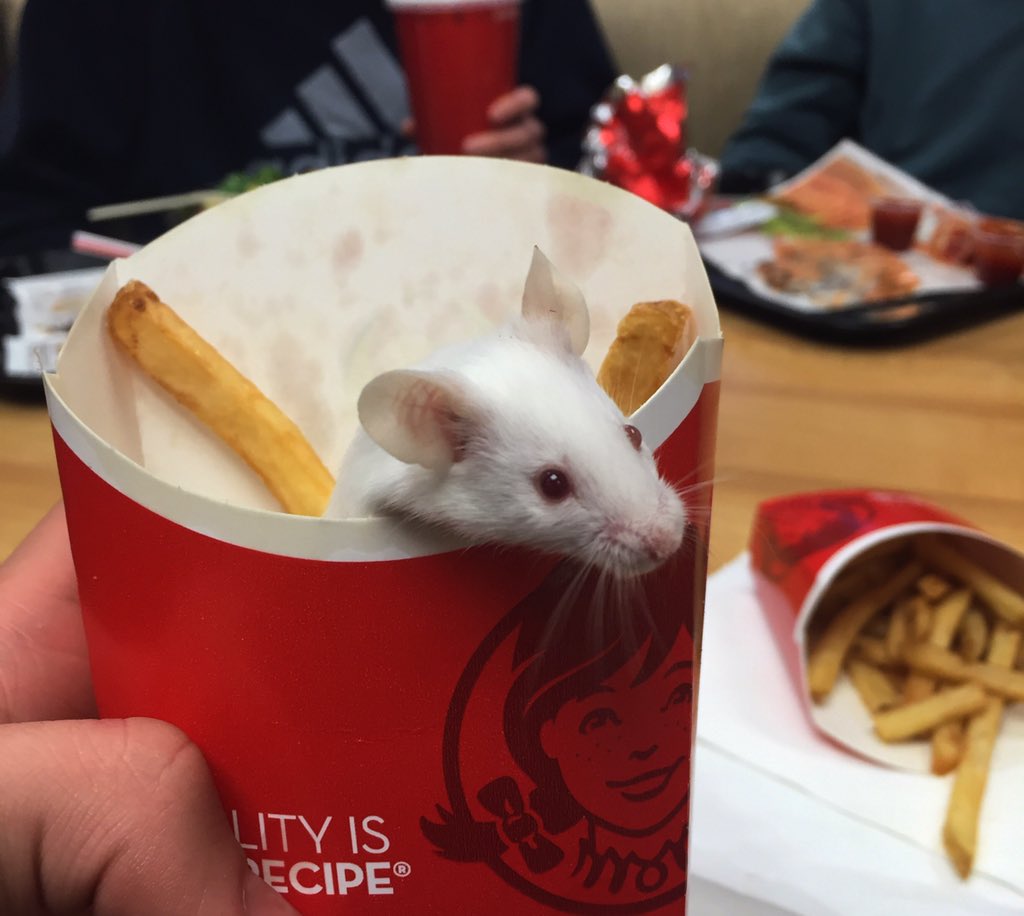 What is this..... <a href="/Wendys/">Wendy’s</a>