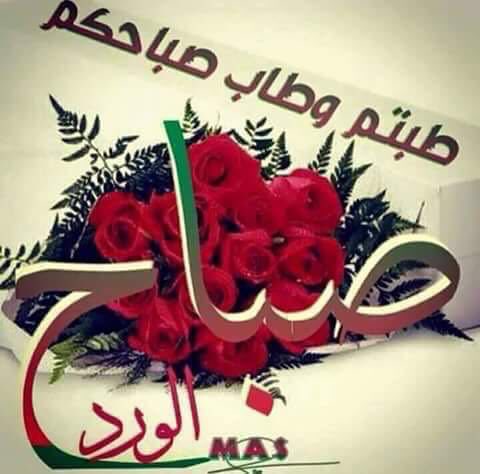 # القايد-لتأجير-السيارات- يتمني-لكم-يوما-سعيدا-علي_جميع-الامه_الاسلاميه