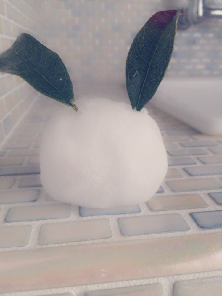 bayuuchan0726's tweet photo. 寒かった。
らびらびじゃんぷ!
#rabbitjump
#むすめん5thシングル https://t.co/IttZgLAQMH