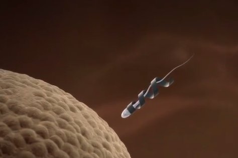 full screen big tit movie what type of sperm swim faster