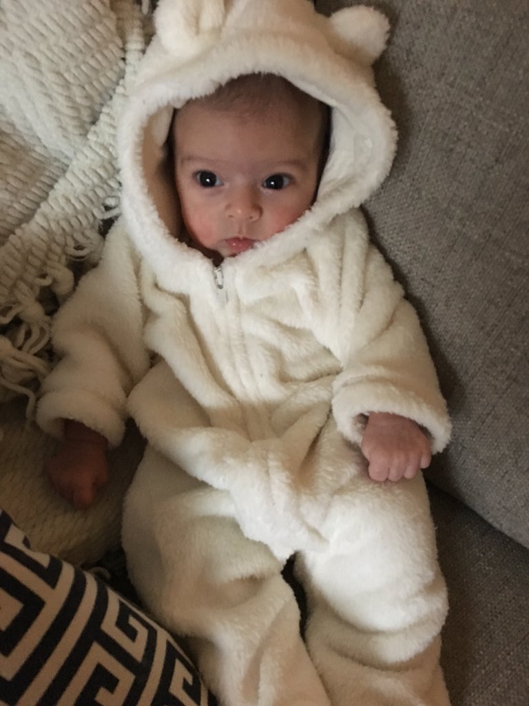 megel's tweet photo. A little bear was found during the #snowmaggedon2016 #LaylaMadison https://t.co/rHc9DdBEVq