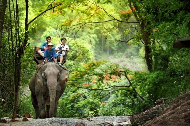 Best Chiang Mai Day Trip - Visit Elephant camp &amp; Long Neck Village #chiangmai #travel
ow.ly/XmG4W