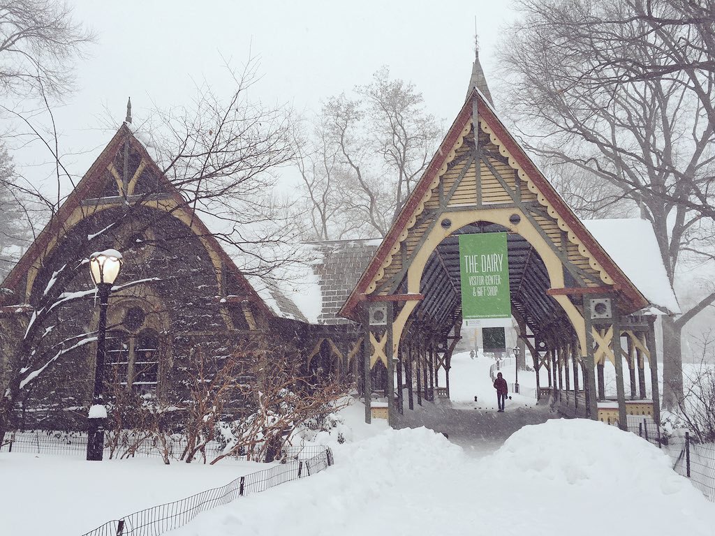 RinconesNY's tweet photo. Central Park nevado... El sitio más bonito de Nueva York 😍🗽❄️⛄️🗽😍❄️⛄️🗽 https://t.co/u2bEmNzcxL
