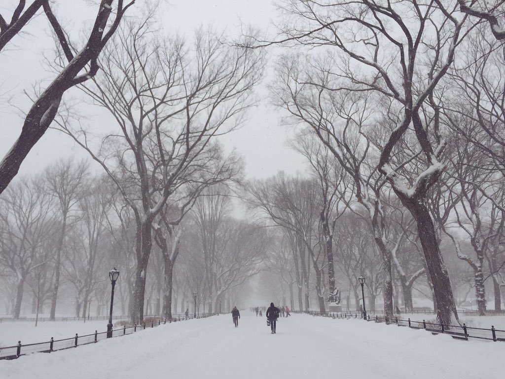 RinconesNY's tweet photo. Central Park nevado... El sitio más bonito de Nueva York 😍🗽❄️⛄️🗽😍❄️⛄️🗽 https://t.co/u2bEmNzcxL