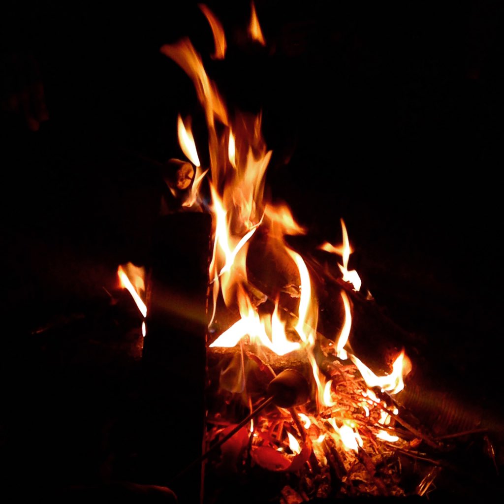 LynnFRAS2016's tweet photo. #HungryHippos staying toasty in the days leading up to #fitfras2016 https://t.co/4C3r9vCGut