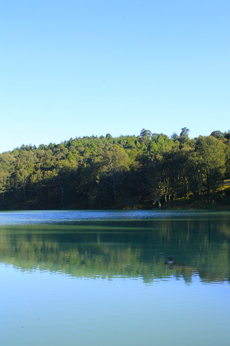 MaghalyM's tweet photo. Fotografía: agua como elemento principal.
#Photo11 #Retodogwood #Dogwood51 #paisaje #Agua #Jiquipilco #fotografía https://t.co/ybL7HDsjpU