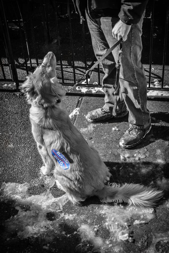 STL4Bernie's tweet photo. #BernDownTheLoop #MarchForBernie #STL4Bernie https://t.co/4pJbDmkIx5