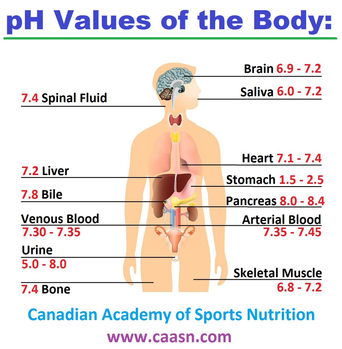 caasn2015's tweet image. #phvalue #acidity #alkalinediet