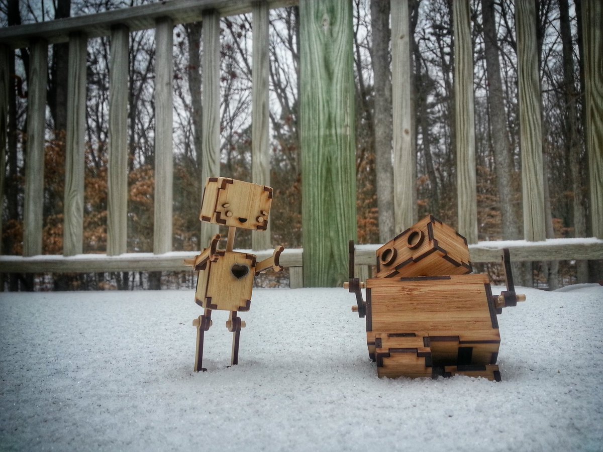 robomustache's tweet photo. The robots had fun in the snow.

#robot #art #crafts #maker #cute #adorable #wood #bamboo #love #snow #blizzard2016 https://t.co/AUmeEdyhWO