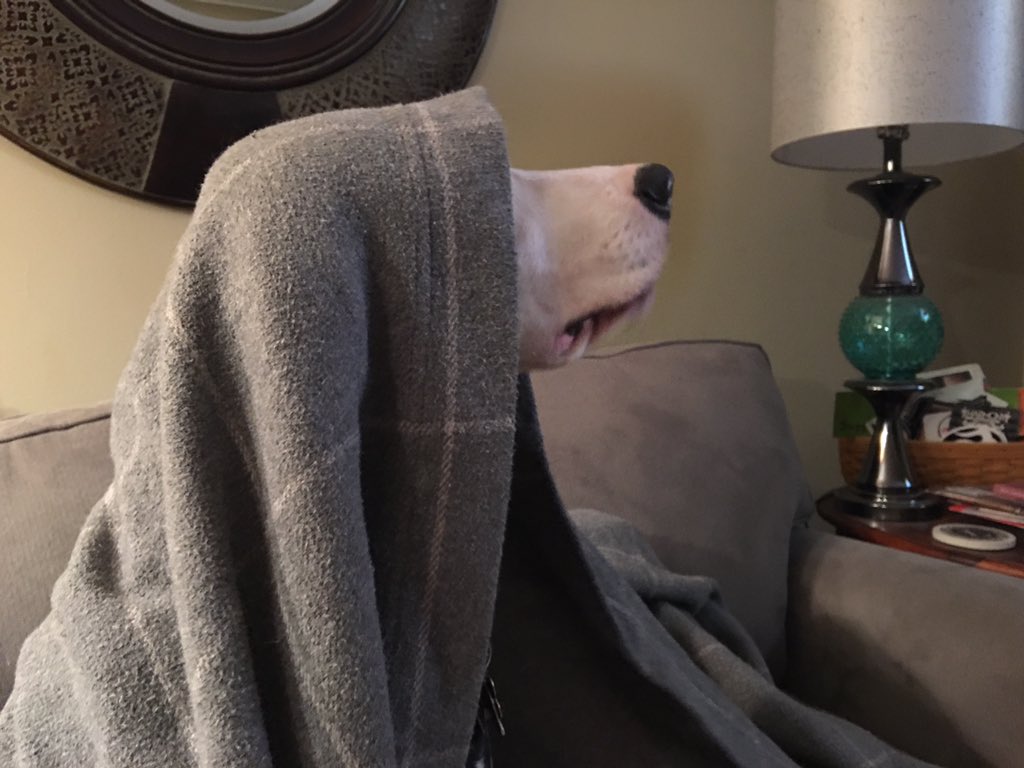 EricLloyd's tweet image. Under the blanket, #Kaline is looking a bit like a Sith Lord. #RebelScum