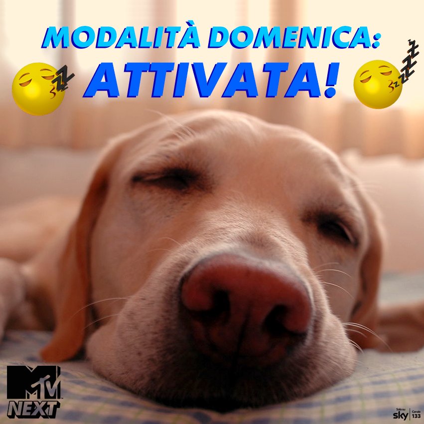 mtvitalia's tweet photo. Non è facile alzarsi dal letto la domenica! #SundayMood https://t.co/pcPxm4yFgU